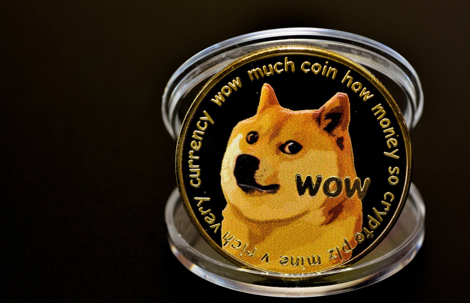 Dogecoin (DOGE) Emerges as Only Top-20 Crypto With Rising Trading Volume