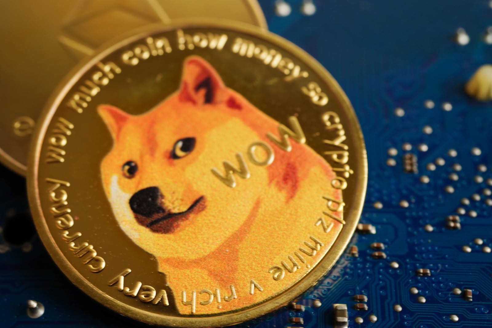 Dogecoin (DOGE) Is Bullish: 4 Longs Against 1 Short