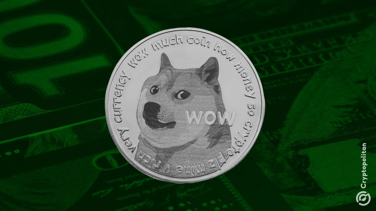 Dogecoin Foundation breakup forces House of Doge into a corporate rename
