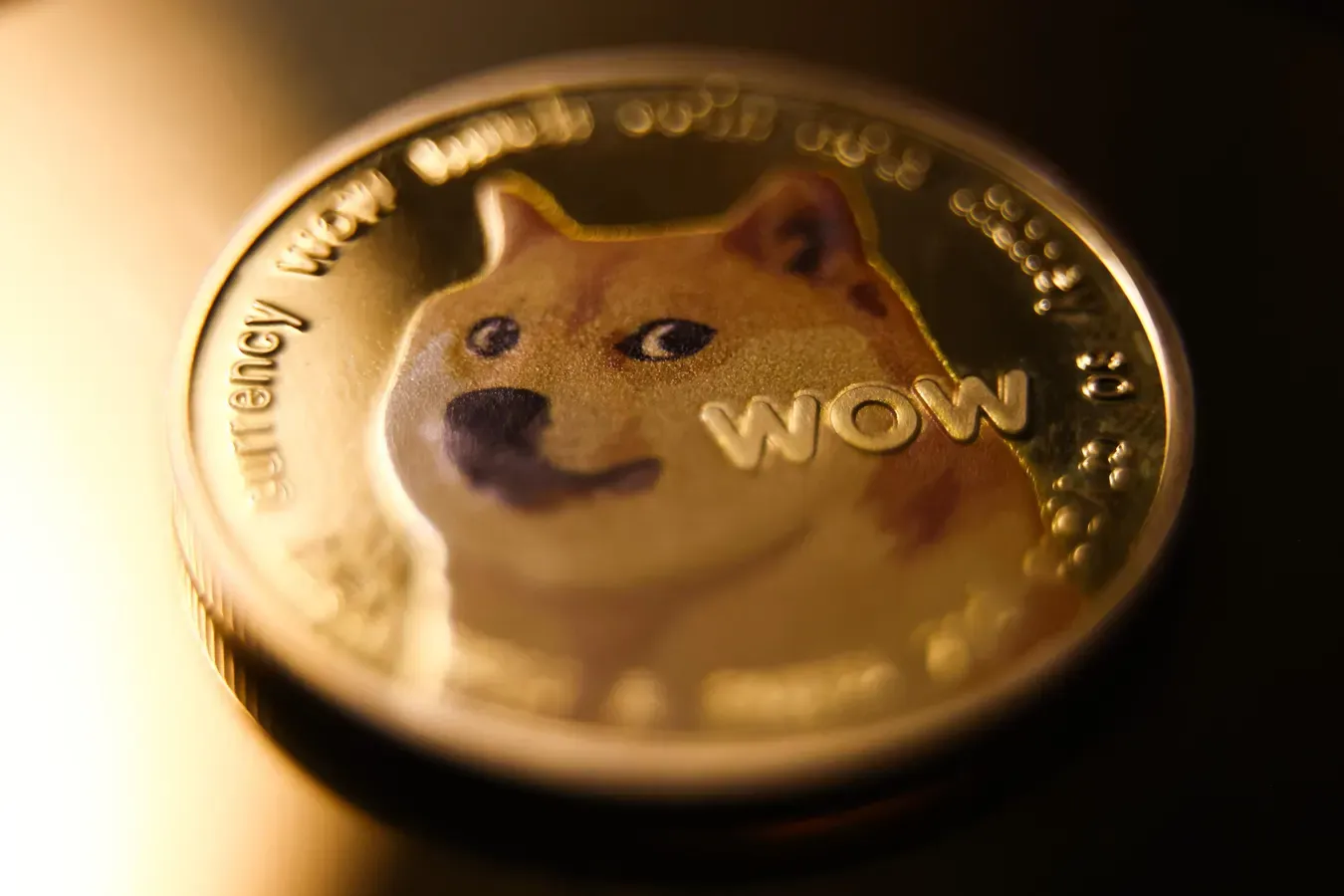 Dogecoin Foundation Ends Exclusive House of Doge Deal as $400,000 Payment Signals Major DOGE Shakeup