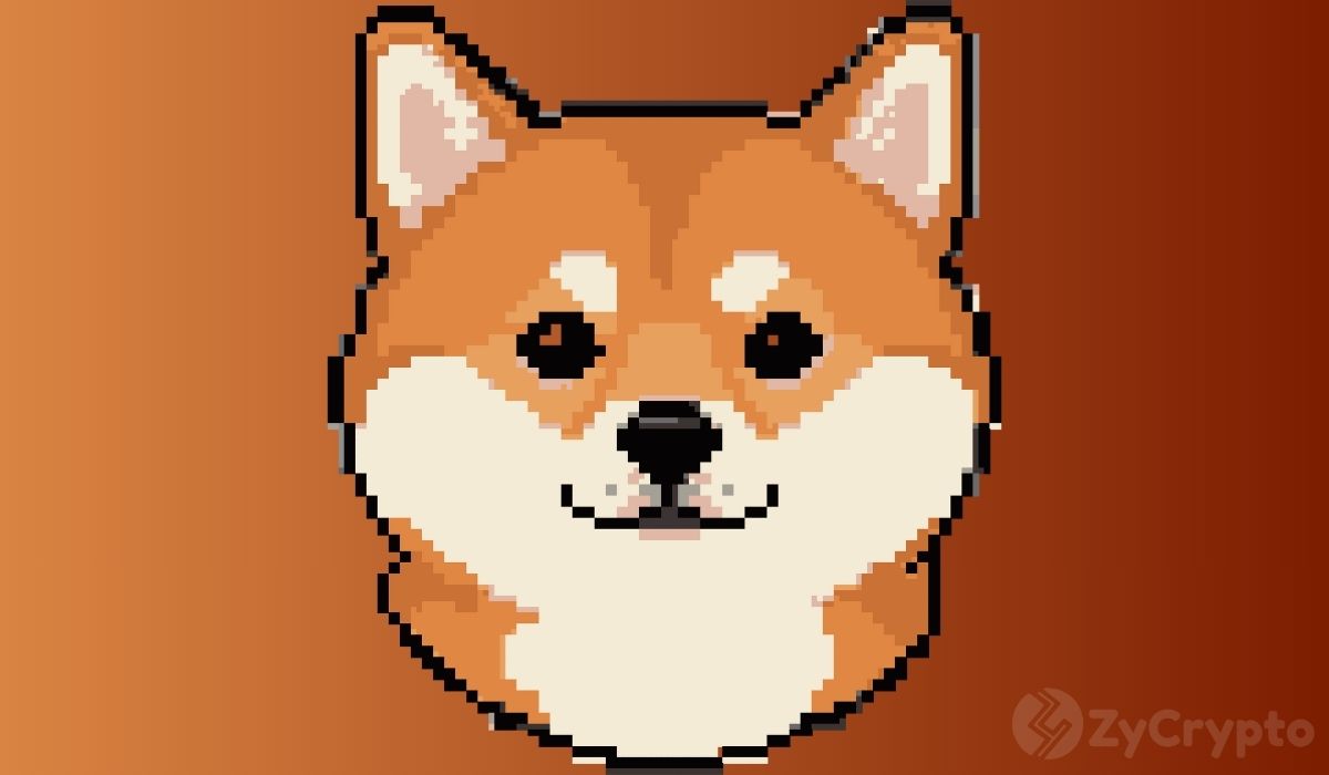 Dogecoin Whales Load Up Half A Billion Coins While Price Stays Frozen