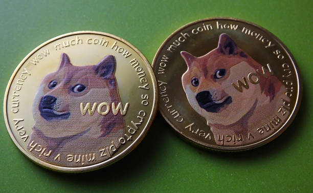 Dogecoin's Capital Flow: What 24-Hour Spot Flow Data Reveals About Its Next Move
