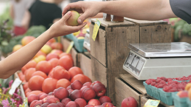 Foto von Dollar General and Dollar Tree Are Both Dollar Stores, but They're Actually Very Different. Here's What That Means for Investors.