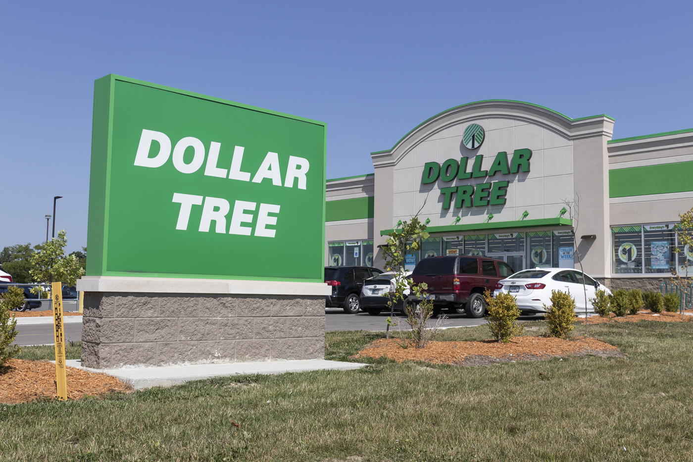 Dollar Tree Stock Extends Slide on Jefferies Downgrade