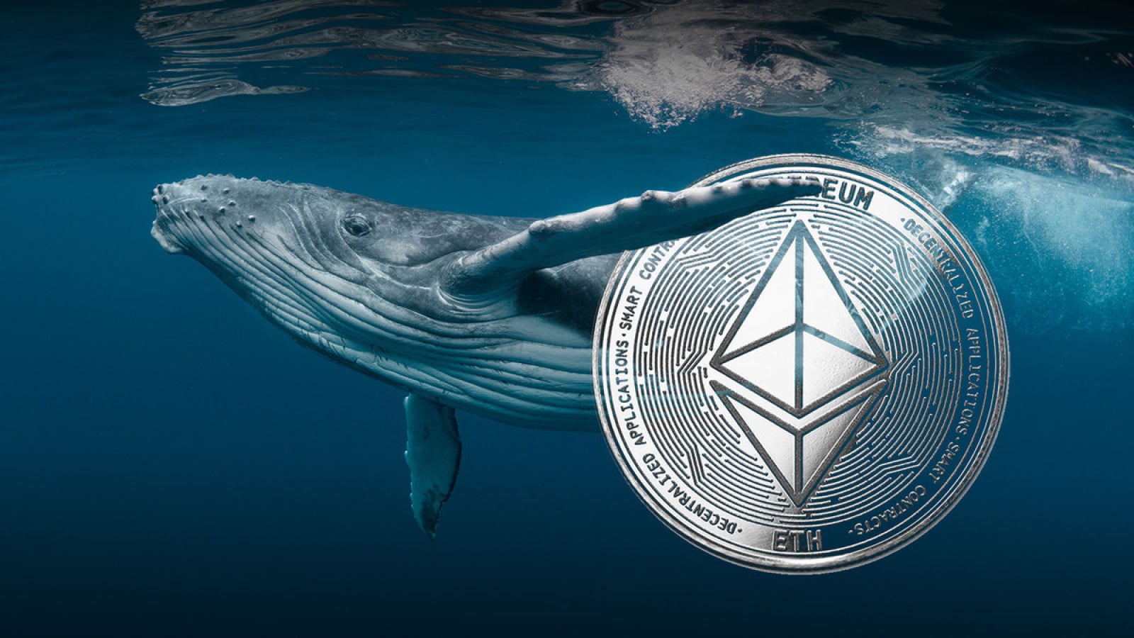 Dormant Ethereum Wallet Awakens After 11 Years