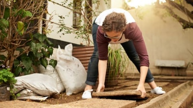 Down Year-to-Date, Are Home Depot and Lowe's No-Brainer Dividend Stocks to Buy Now?