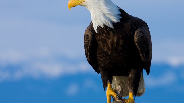 Eagle Point Credit Company Q1: The Fund Continues To Deliver