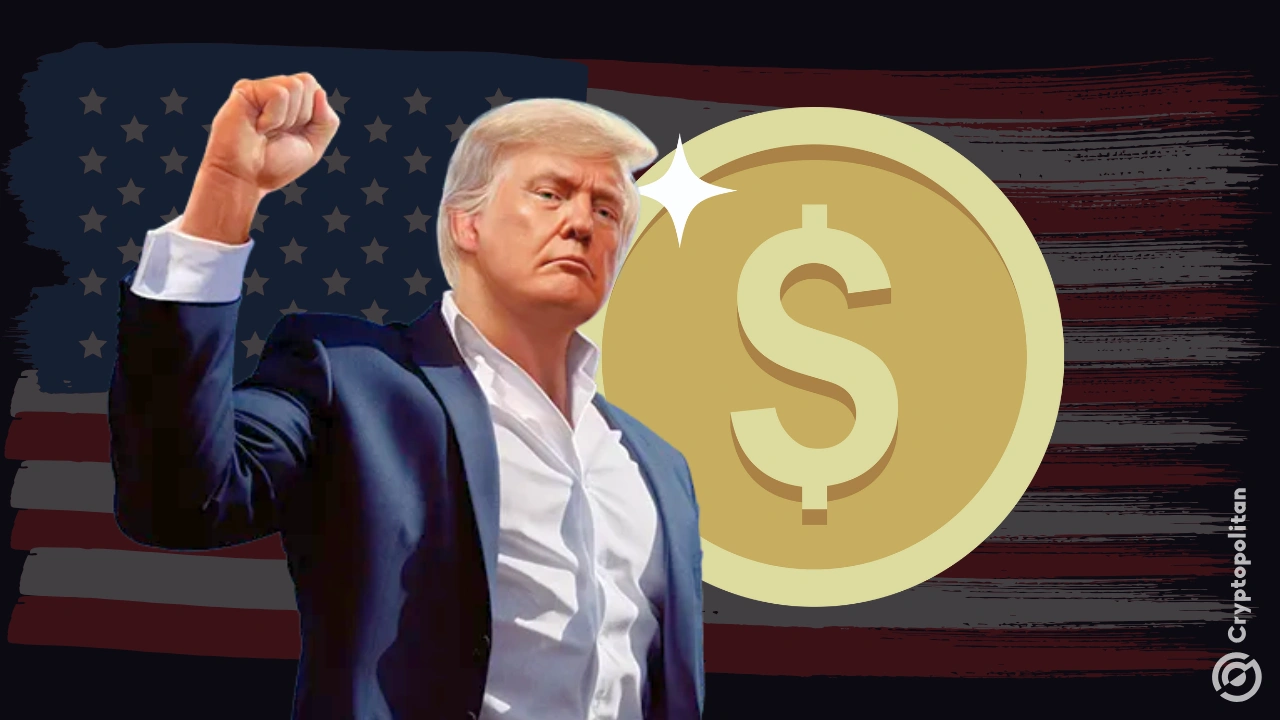 Eric Trump promotes USD1 amid slowing growth for PYUSD