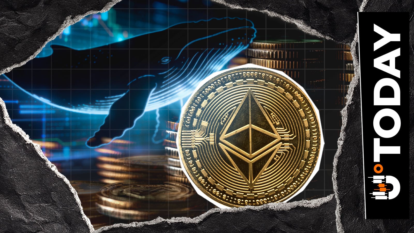 Ethereum Whale Buys $100M ETH as On-Chain Activity Hits Record Highs