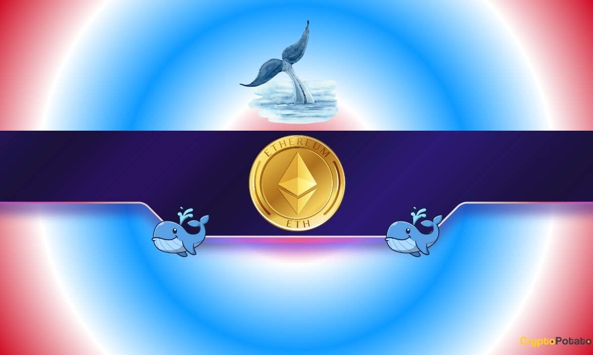 Ethereum Whales Just Woke Up as ETH Exploded to 8-Month High: What's Next?