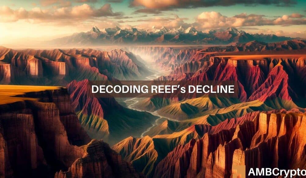 Article image for Examining REEF crypto's 80% decline in 24 hours – How, why, and what next?