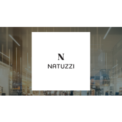 Financial Survey: Maxx Sports TV (OTCMKTS:AMXX) versus Natuzzi (NYSE:NTZ)