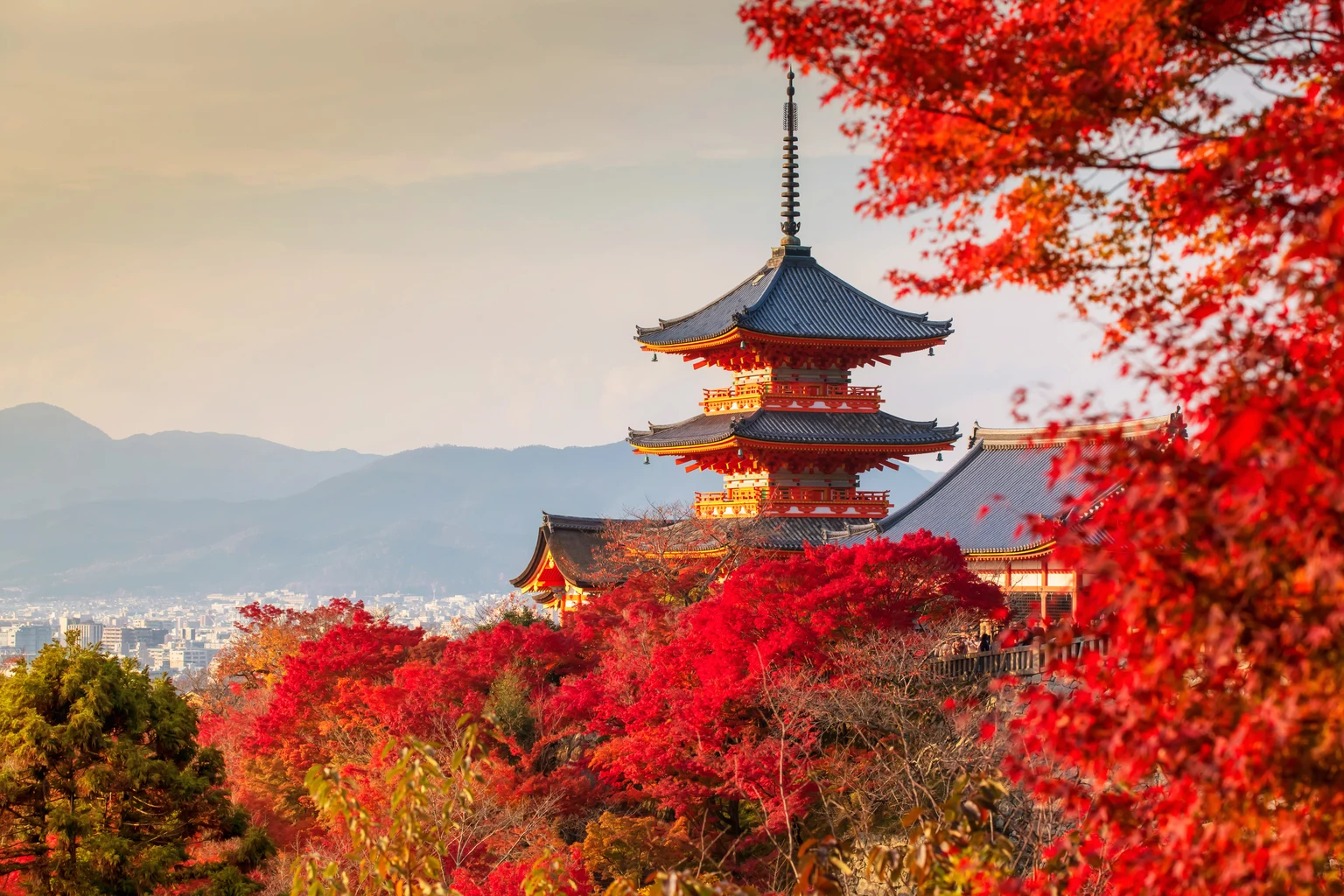 FLJP: Political Turmoil Is A Concern For Japanese Markets
