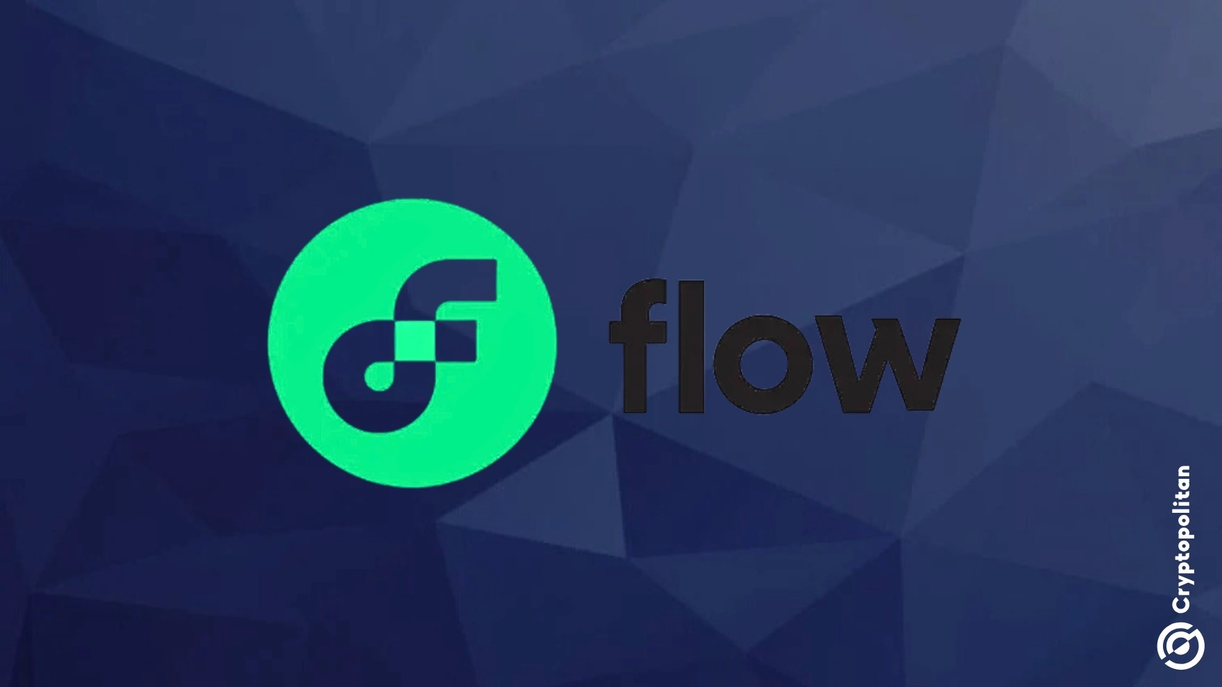 Article image for Flow sues Korean exchanges to block token delisting