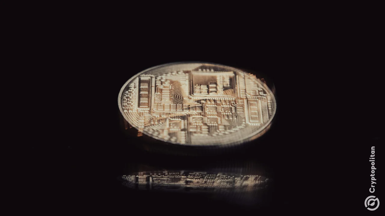 Forward Industries CEO calls Hyperliquid ‘everything wrong with crypto'