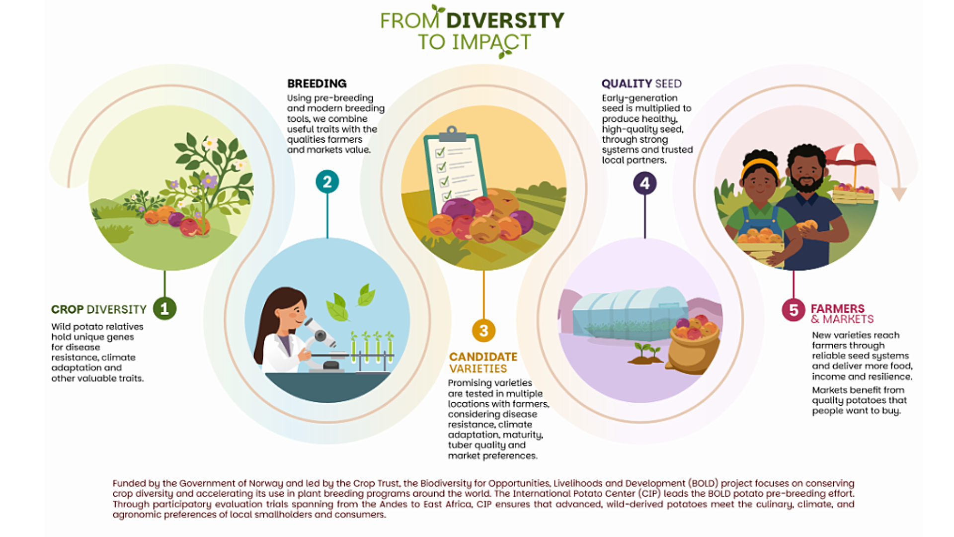 From Wild Potatoes to Resilient Varieties: Crop Trust and International Potato Centre Expand Potato Work in East Africa