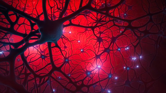 Gain Therapeutics: Phase 1 Readout Awaits For Parkinson's Drug With Great Potential