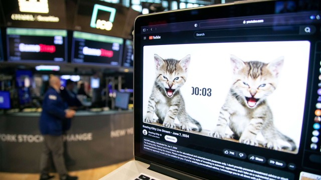 GameStop stock plunges after surprise earnings report, despite Roaring Kitty's return