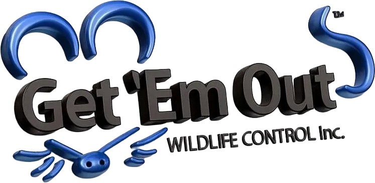 Get ’Em Out Wildlife Control Inc. 发布免费指南，指导渥太华房主如何在入冬前选择野生动物清除服务公司。