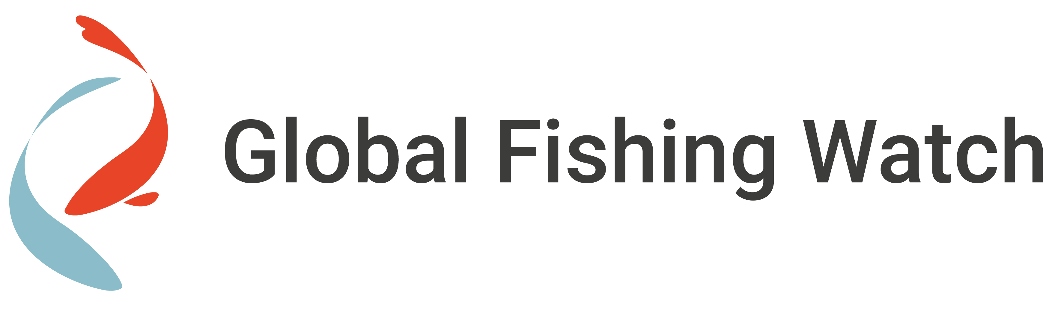 Global Fishing Watch spotlights ocean governance successes, highlighting policy wins and tech innovations