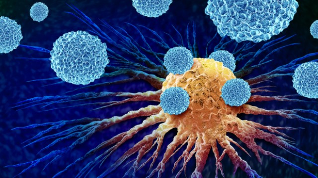 Globus Medical (GMED) Hits 52-Week High: What's Driving It?