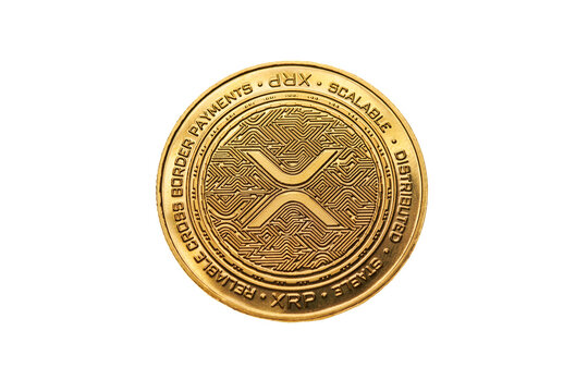 Google's Documentation Talks About XRP And You Won't Believe What It Says