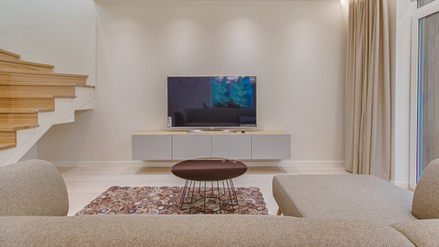 TV