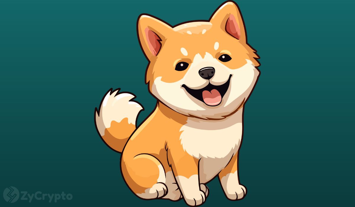 Half A Billion SHIB Sent To Dead Wallets in August by Robinhood and Coinbase — Can It Boost SHIB Price?