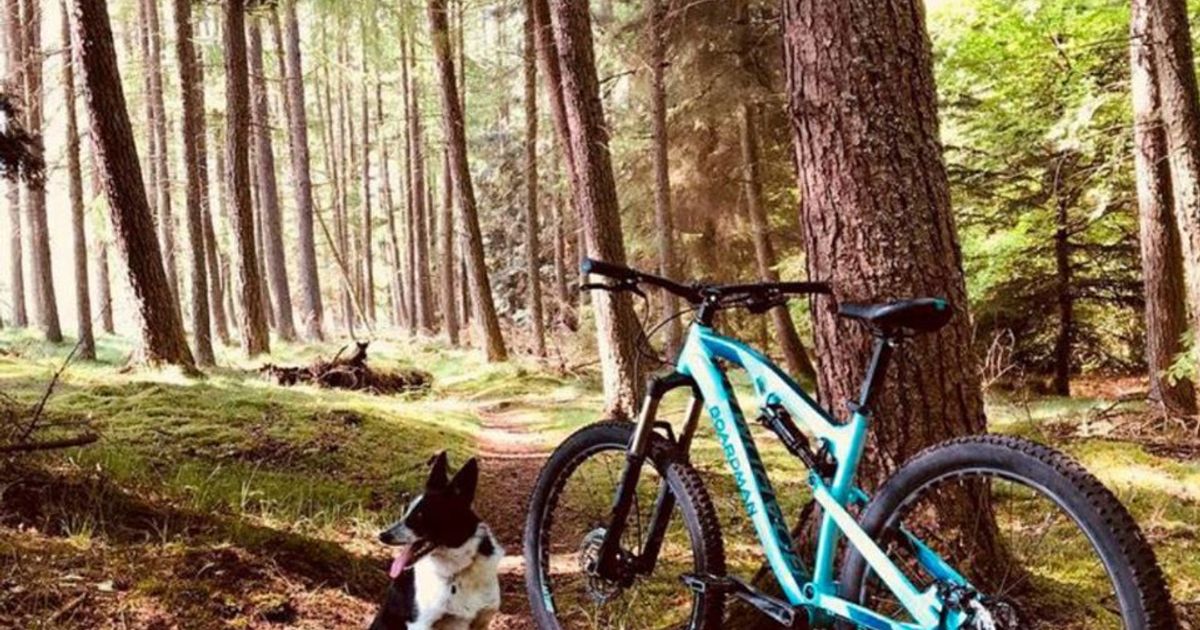 Halfords pedals higher as first-half hints at brighter outlook
