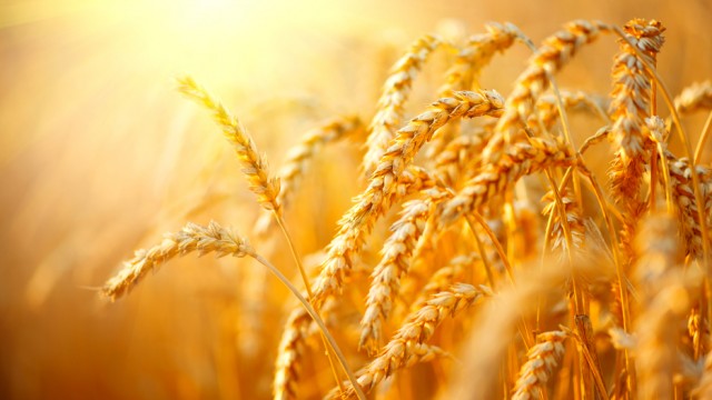 Heavy Rains & Storms Creating Upside for Ag Commodities