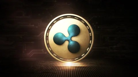 Here's How Much Ripple's CTO XRP Holdings Would Be Worth If He Never Sold