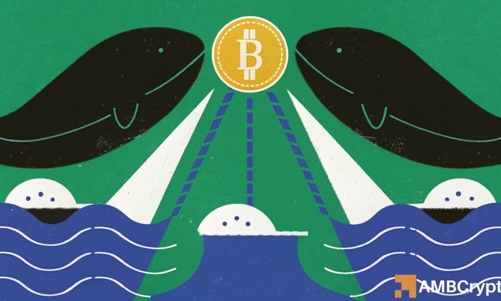 Here's why Bitcoin's bull market case shouldn't be dismissed just yet!