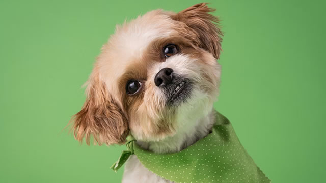 Here's Why Chewy (CHWY) Fell More Than Broader Market
