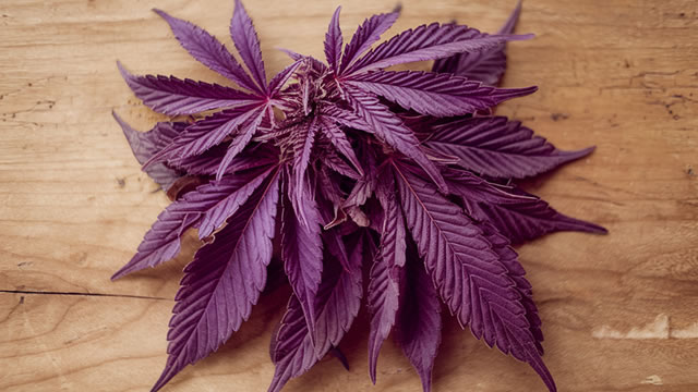Here's Why Tilray Brands, Inc. (TLRY) Fell More Than Broader Market