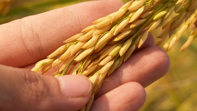 Here's Why United Natural Foods (UNFI) is a Strong Momentum Stock