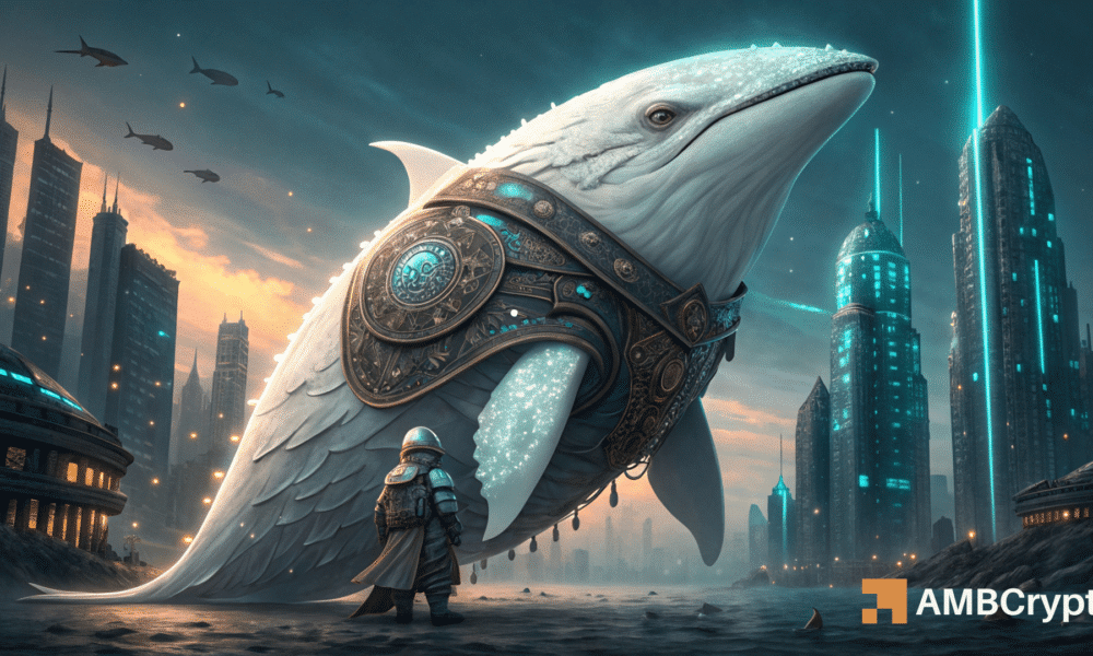 Here's why WHITEWHALE surged 72% after a ‘manufactured' 86% crash!