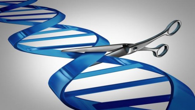 Here's Why You Should Hold on to Tandem Diabetes (TNDM) Now