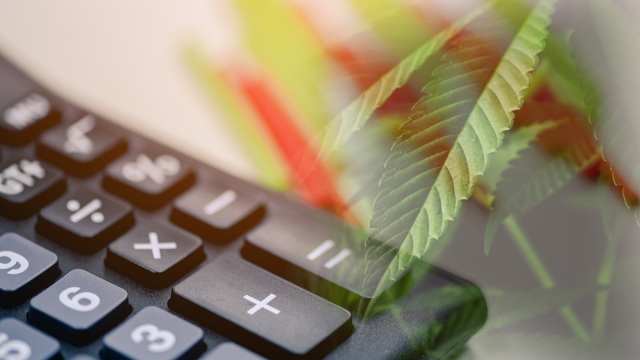 Foto von Hidden Gems: Top Marijuana Penny Stocks for Savvy Investors in 2023