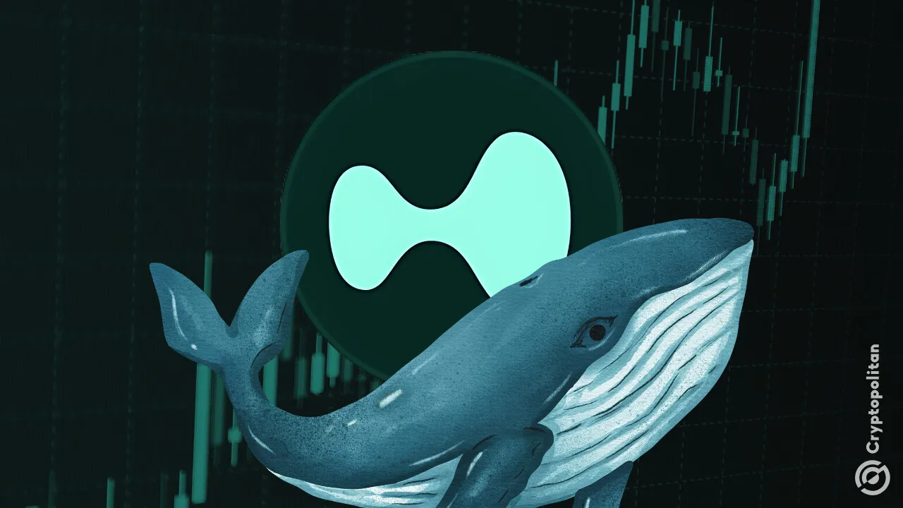 Hyperliquid whales pile into newly launched oil futures market