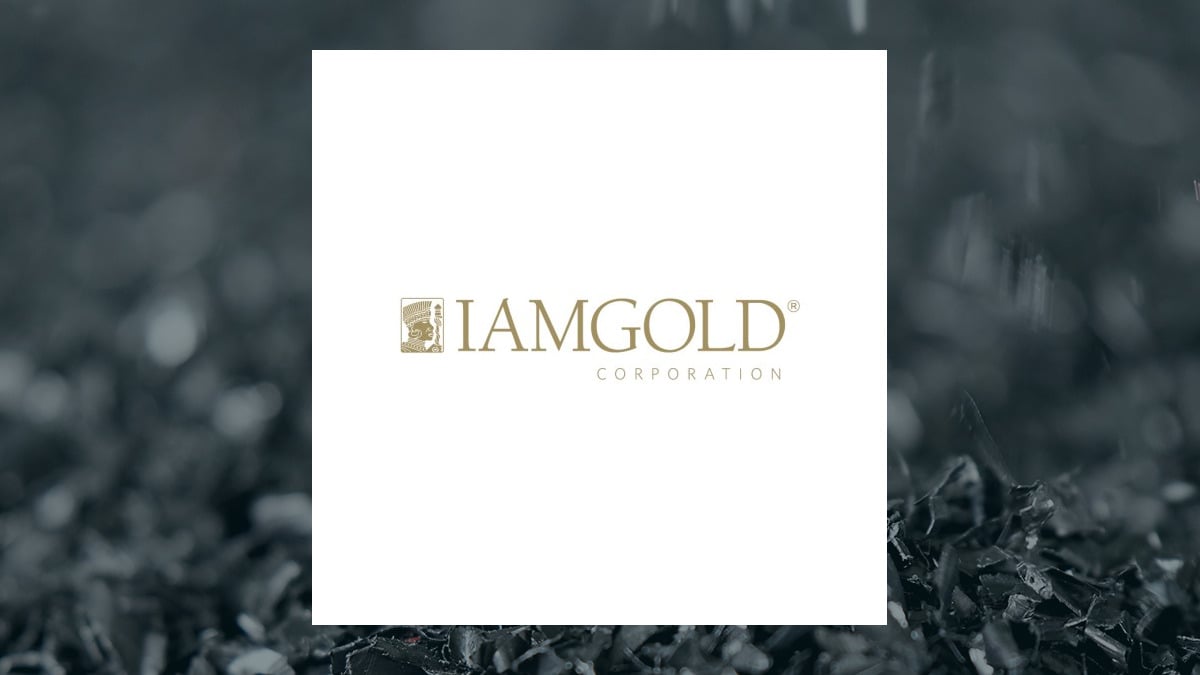 Iamgold Corporation $IAG Shares Sold by Dimensional Fund Advisors LP