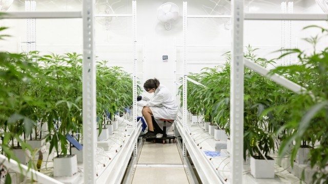 Innovative Industrial Properties: The Cannabis Rescheduling Catalyst For This 6.7% Yield