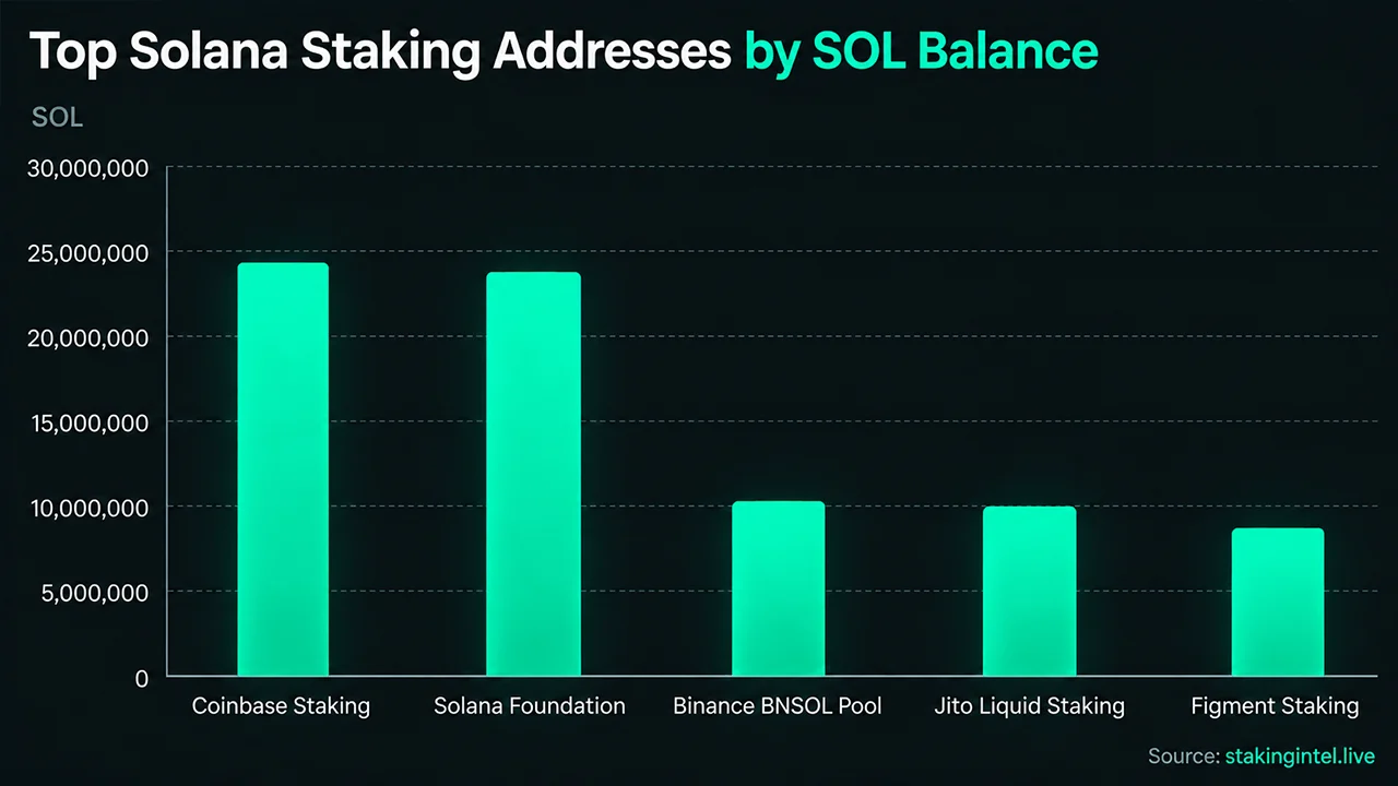 Inside Solana's Staking Giants and the Mystery Whales With Billions