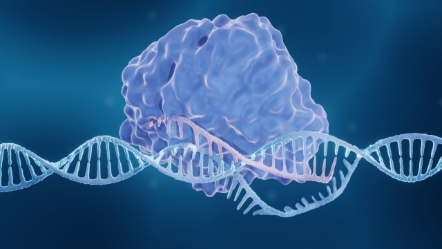 Intellia Therapeutics Presents Promising In Vivo CRISPR Results