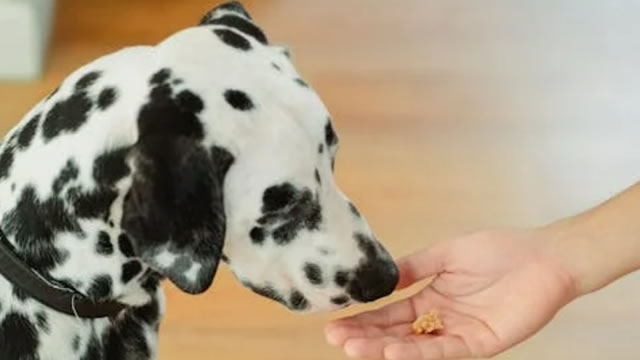 Is Chewy (CHWY) a Buy as Wall Street Analysts Look Optimistic?