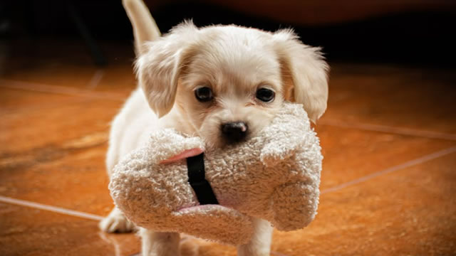 Is Chewy's 6.2% Q1 EBITDA Margin a Turning Point Toward Its Target?