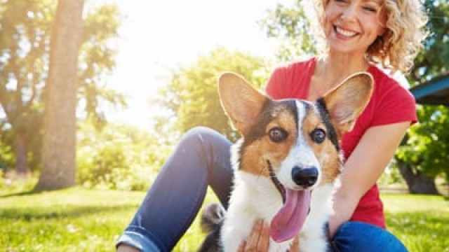 Is It Too Late to Buy Chewy Stock?