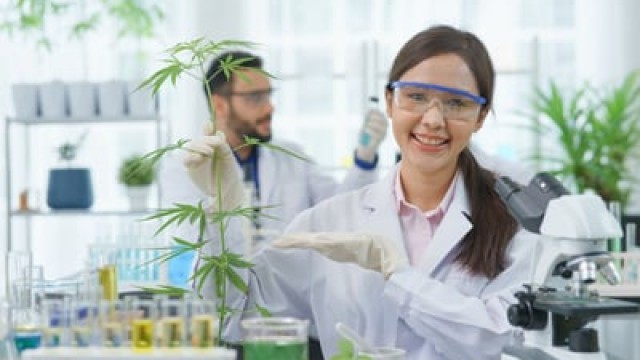 Is SNDL Stock a Buy?