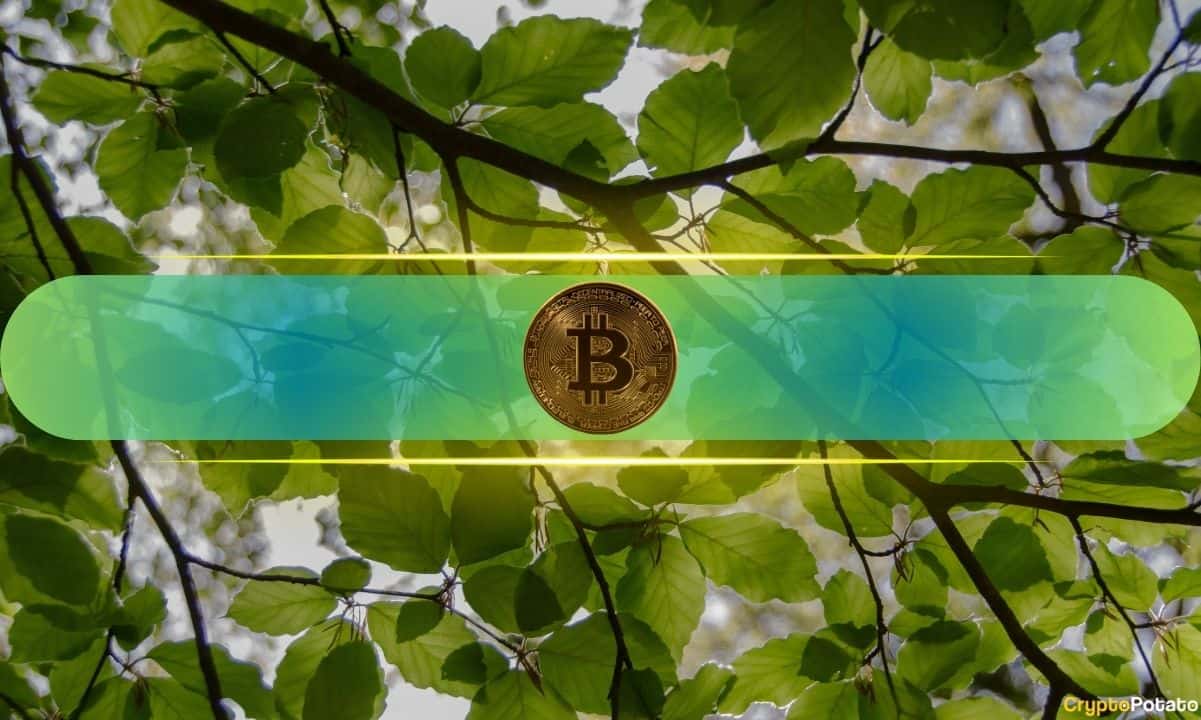 Is This 45-Day Ceasefire Report Behind Bitcoin's Price Jump on Monday?