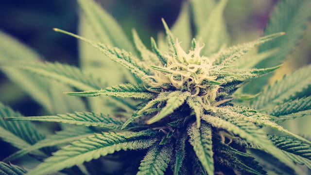 Is Tilray's $2B Valuation Just The Beginning? Analyst Sees $10B Market Opportunity, Initiates Coverage