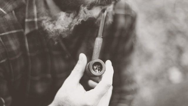 JAPAN TOB (JAPAY) is a Great Momentum Stock: Should You Buy?